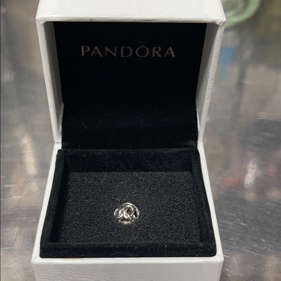 Pandora Essence FRIENDSHIP Charm - Picture 2 of 3